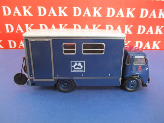 Die cast 1/43 Modellino Camion Berliet GLA-GLB Trasporto Cavalli France 1957 - immagine 5